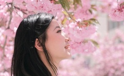 韩国美女激情视频一区二区